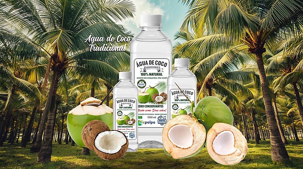 Água de Coco com Manga 100% Natural - Imagem 2