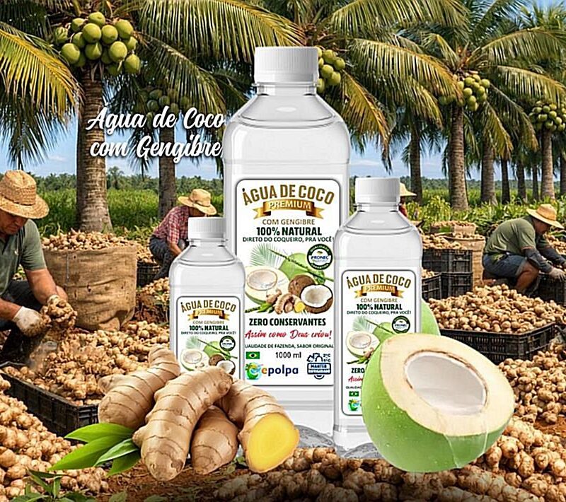 Água de Coco com Gengibre 100% Natural