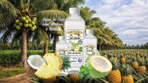 Água de Coco com Hortelá e Abacaxi 100% Natural
