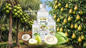 Água de Coco com Pêra 100% Natural