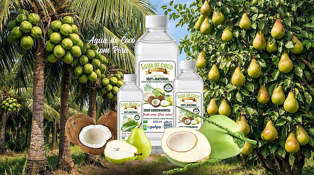 Água de Coco com Manga 100% Natural - Imagem 5