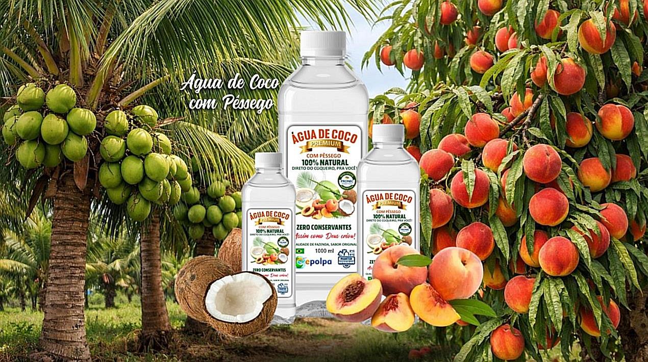 Água de Coco com Manga 100% Natural - Imagem 4